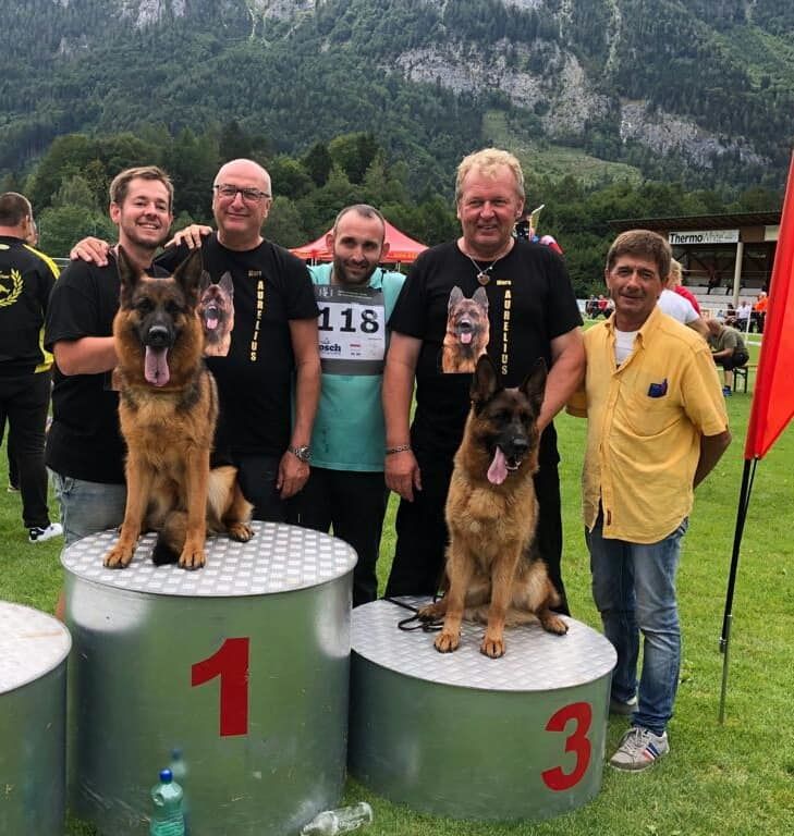 Vom haus thalie - Lila Championne d'Autriche 2018 VA1