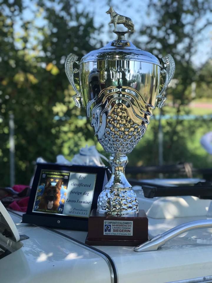 Vom haus thalie - Lila remporte le titre de Championne d'Europe et d'Italie 2018