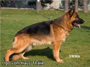 Ugo Vom haus thalie