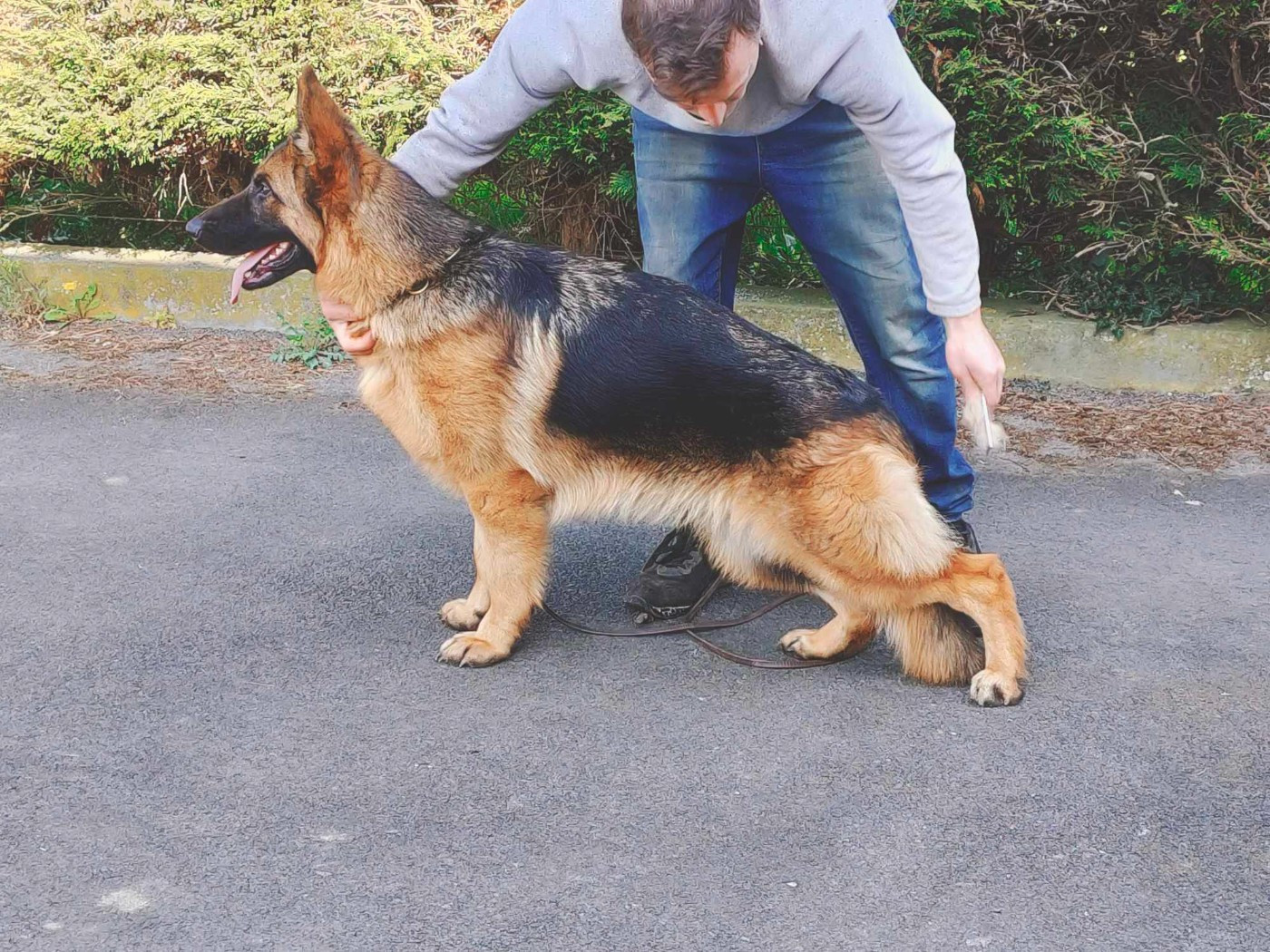 CH. Vita Vom haus thalie